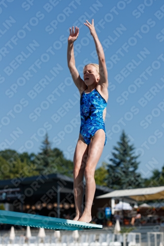 2017 - 8. Sofia Diving Cup 2017 - 8. Sofia Diving Cup 03012_08731.jpg