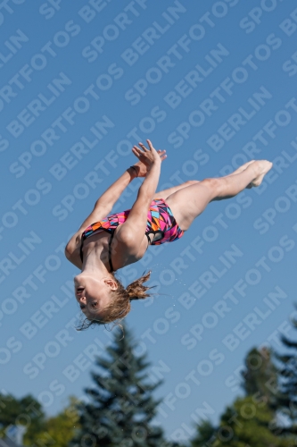 2017 - 8. Sofia Diving Cup 2017 - 8. Sofia Diving Cup 03012_08800.jpg