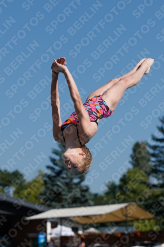 2017 - 8. Sofia Diving Cup 2017 - 8. Sofia Diving Cup 03012_08801.jpg