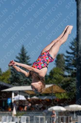 2017 - 8. Sofia Diving Cup 2017 - 8. Sofia Diving Cup 03012_08802.jpg