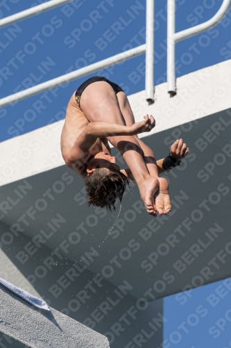 2017 - 8. Sofia Diving Cup 2017 - 8. Sofia Diving Cup 03012_08815.jpg