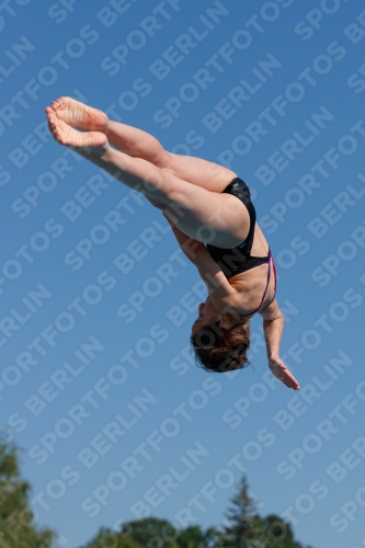 2017 - 8. Sofia Diving Cup 2017 - 8. Sofia Diving Cup 03012_08830.jpg