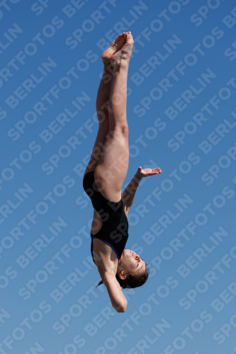2017 - 8. Sofia Diving Cup 2017 - 8. Sofia Diving Cup 03012_08832.jpg