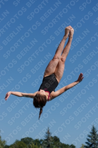 2017 - 8. Sofia Diving Cup 2017 - 8. Sofia Diving Cup 03012_08834.jpg