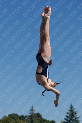 2017 - 8. Sofia Diving Cup 2017 - 8. Sofia Diving Cup 03012_08841.jpg
