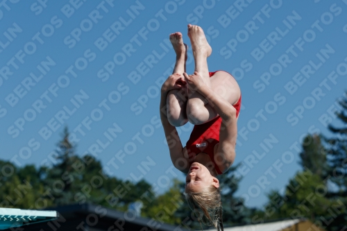 2017 - 8. Sofia Diving Cup 2017 - 8. Sofia Diving Cup 03012_08851.jpg