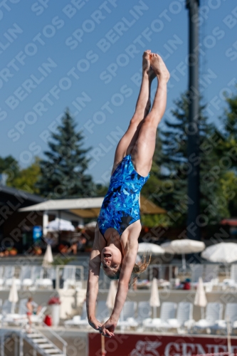2017 - 8. Sofia Diving Cup 2017 - 8. Sofia Diving Cup 03012_08859.jpg