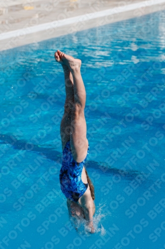 2017 - 8. Sofia Diving Cup 2017 - 8. Sofia Diving Cup 03012_08863.jpg
