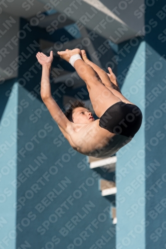 2017 - 8. Sofia Diving Cup 2017 - 8. Sofia Diving Cup 03012_08865.jpg