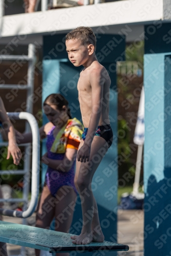 2017 - 8. Sofia Diving Cup 2017 - 8. Sofia Diving Cup 03012_08871.jpg