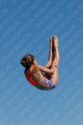 2017 - 8. Sofia Diving Cup 2017 - 8. Sofia Diving Cup 03012_08872.jpg