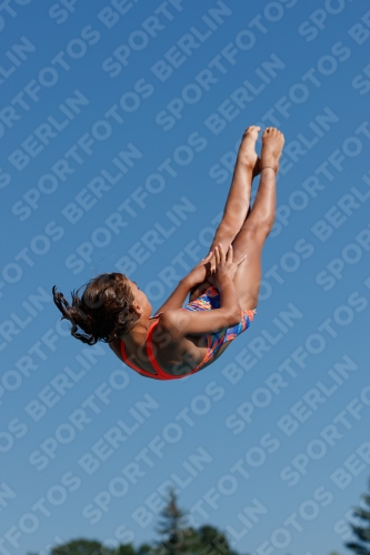 2017 - 8. Sofia Diving Cup 2017 - 8. Sofia Diving Cup 03012_08873.jpg