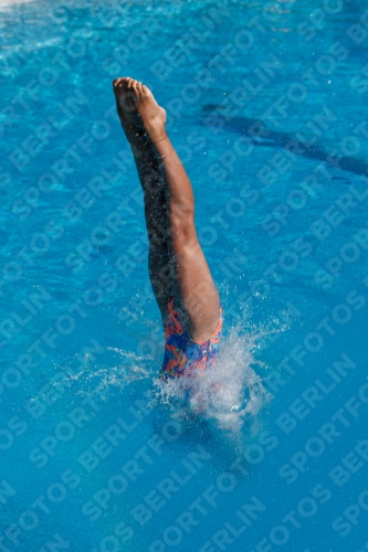 2017 - 8. Sofia Diving Cup 2017 - 8. Sofia Diving Cup 03012_08879.jpg