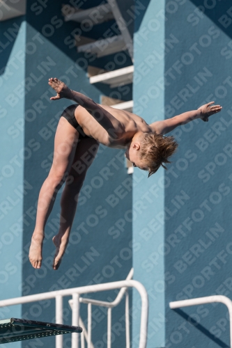 2017 - 8. Sofia Diving Cup 2017 - 8. Sofia Diving Cup 03012_08884.jpg