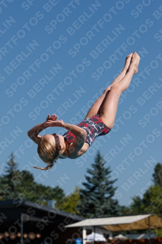 2017 - 8. Sofia Diving Cup 2017 - 8. Sofia Diving Cup 03012_08926.jpg