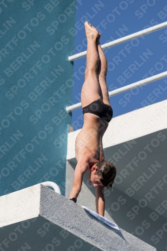 2017 - 8. Sofia Diving Cup 2017 - 8. Sofia Diving Cup 03012_08934.jpg