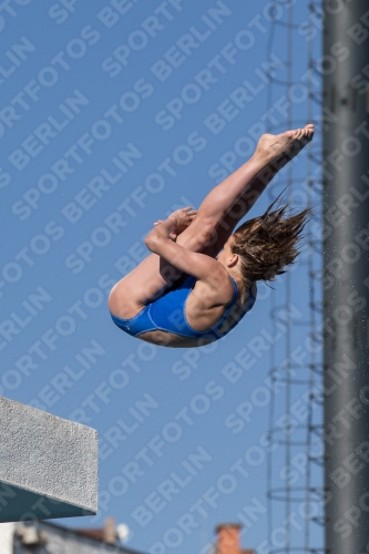 2017 - 8. Sofia Diving Cup 2017 - 8. Sofia Diving Cup 03012_08942.jpg