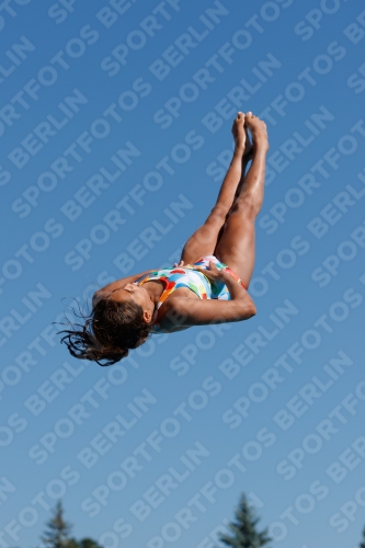 2017 - 8. Sofia Diving Cup 2017 - 8. Sofia Diving Cup 03012_08944.jpg