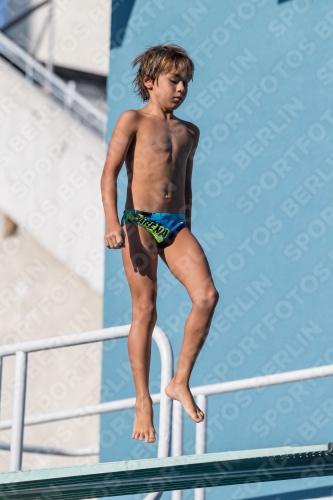 2017 - 8. Sofia Diving Cup 2017 - 8. Sofia Diving Cup 03012_08969.jpg