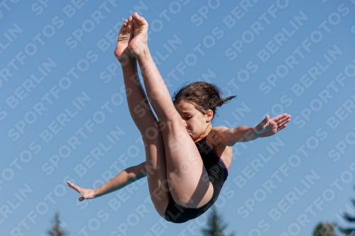 2017 - 8. Sofia Diving Cup 2017 - 8. Sofia Diving Cup 03012_08978.jpg