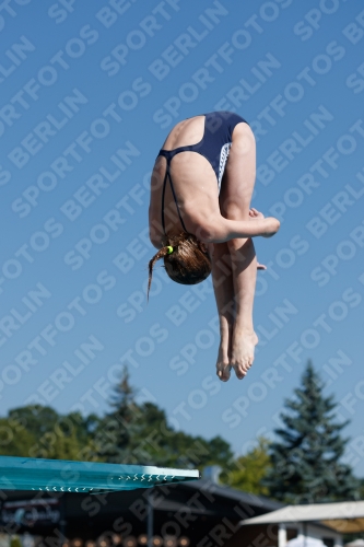 2017 - 8. Sofia Diving Cup 2017 - 8. Sofia Diving Cup 03012_08985.jpg