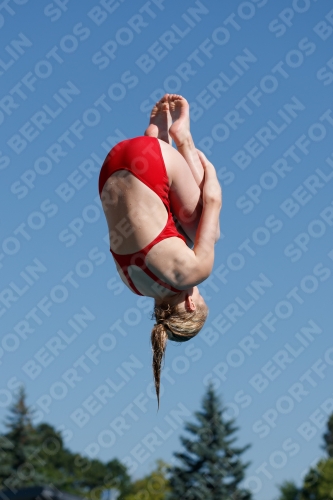 2017 - 8. Sofia Diving Cup 2017 - 8. Sofia Diving Cup 03012_08994.jpg