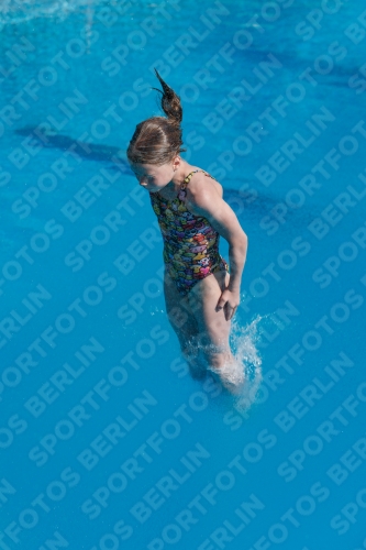 2017 - 8. Sofia Diving Cup 2017 - 8. Sofia Diving Cup 03012_09022.jpg