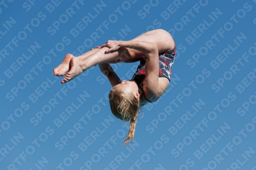 2017 - 8. Sofia Diving Cup 2017 - 8. Sofia Diving Cup 03012_09033.jpg