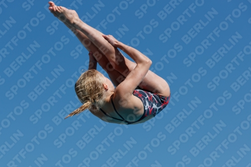 2017 - 8. Sofia Diving Cup 2017 - 8. Sofia Diving Cup 03012_09034.jpg