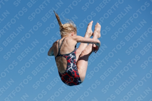2017 - 8. Sofia Diving Cup 2017 - 8. Sofia Diving Cup 03012_09035.jpg