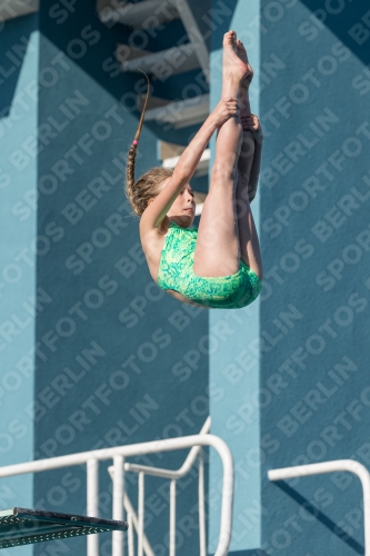 2017 - 8. Sofia Diving Cup 2017 - 8. Sofia Diving Cup 03012_09036.jpg