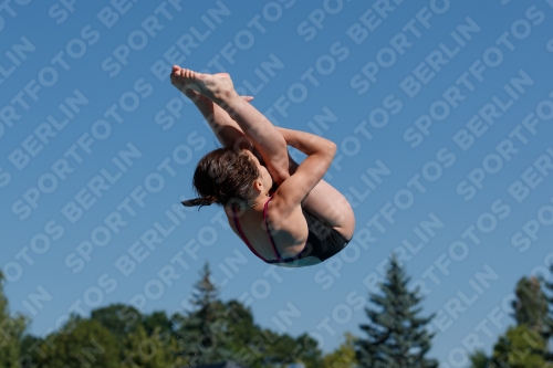 2017 - 8. Sofia Diving Cup 2017 - 8. Sofia Diving Cup 03012_09070.jpg