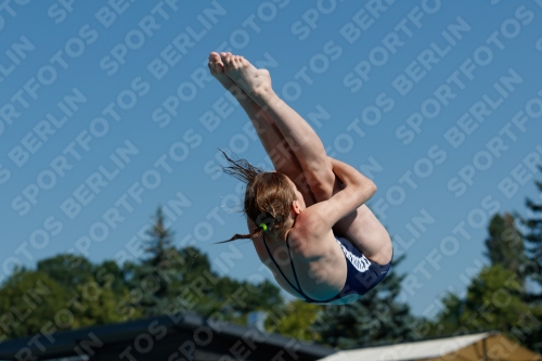 2017 - 8. Sofia Diving Cup 2017 - 8. Sofia Diving Cup 03012_09077.jpg