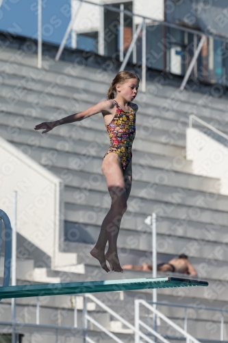 2017 - 8. Sofia Diving Cup 2017 - 8. Sofia Diving Cup 03012_09213.jpg