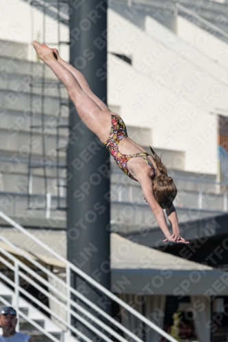 2017 - 8. Sofia Diving Cup 2017 - 8. Sofia Diving Cup 03012_09216.jpg