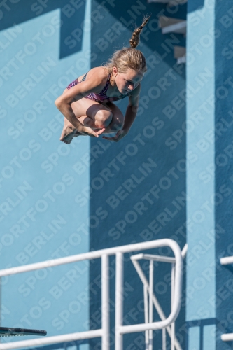 2017 - 8. Sofia Diving Cup 2017 - 8. Sofia Diving Cup 03012_09243.jpg