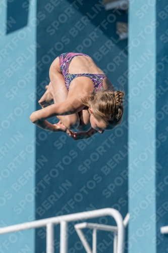 2017 - 8. Sofia Diving Cup 2017 - 8. Sofia Diving Cup 03012_09246.jpg