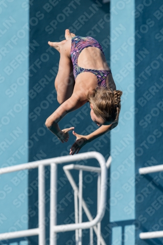 2017 - 8. Sofia Diving Cup 2017 - 8. Sofia Diving Cup 03012_09248.jpg