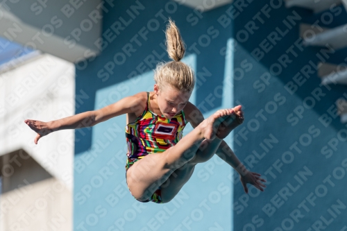 2017 - 8. Sofia Diving Cup 2017 - 8. Sofia Diving Cup 03012_09262.jpg