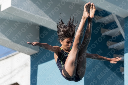 2017 - 8. Sofia Diving Cup 2017 - 8. Sofia Diving Cup 03012_09276.jpg