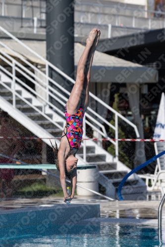 2017 - 8. Sofia Diving Cup 2017 - 8. Sofia Diving Cup 03012_09283.jpg