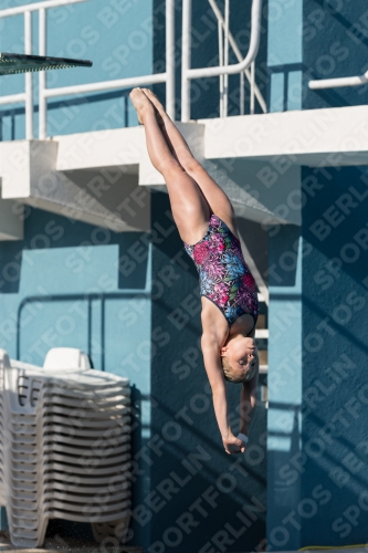 2017 - 8. Sofia Diving Cup 2017 - 8. Sofia Diving Cup 03012_09287.jpg