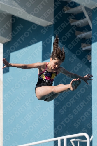 2017 - 8. Sofia Diving Cup 2017 - 8. Sofia Diving Cup 03012_09296.jpg