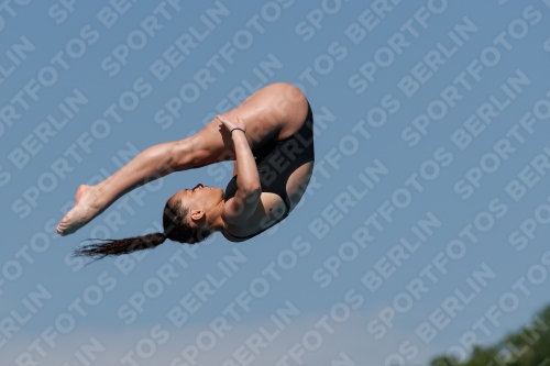 2017 - 8. Sofia Diving Cup 2017 - 8. Sofia Diving Cup 03012_09297.jpg