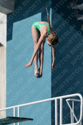 2017 - 8. Sofia Diving Cup 2017 - 8. Sofia Diving Cup 03012_09304.jpg