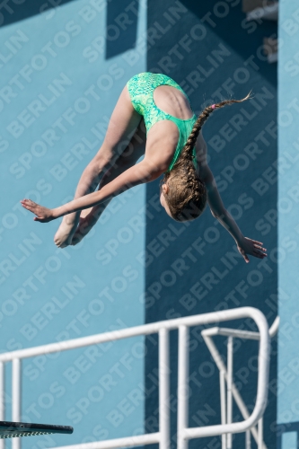 2017 - 8. Sofia Diving Cup 2017 - 8. Sofia Diving Cup 03012_09306.jpg