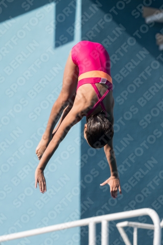 2017 - 8. Sofia Diving Cup 2017 - 8. Sofia Diving Cup 03012_09314.jpg