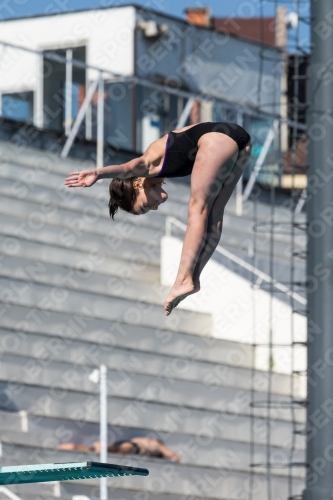 2017 - 8. Sofia Diving Cup 2017 - 8. Sofia Diving Cup 03012_09316.jpg