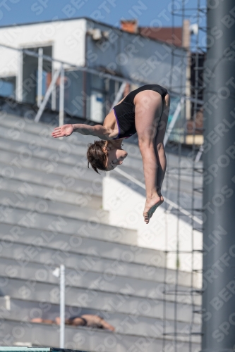 2017 - 8. Sofia Diving Cup 2017 - 8. Sofia Diving Cup 03012_09317.jpg