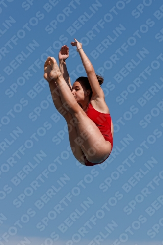 2017 - 8. Sofia Diving Cup 2017 - 8. Sofia Diving Cup 03012_09340.jpg